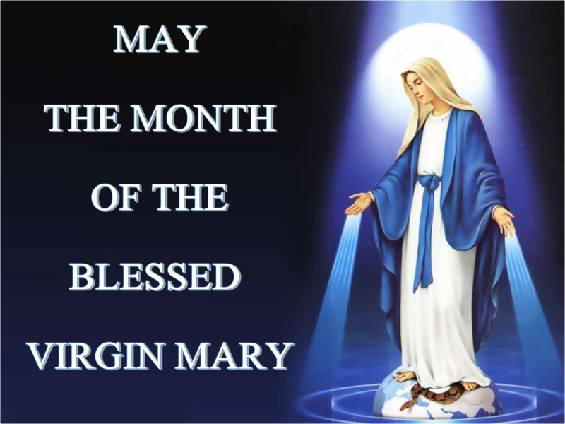 https://stsp.org.au/wp-content/uploads/2025/05/May-the-Month-of-Mary-e1746246276595.png